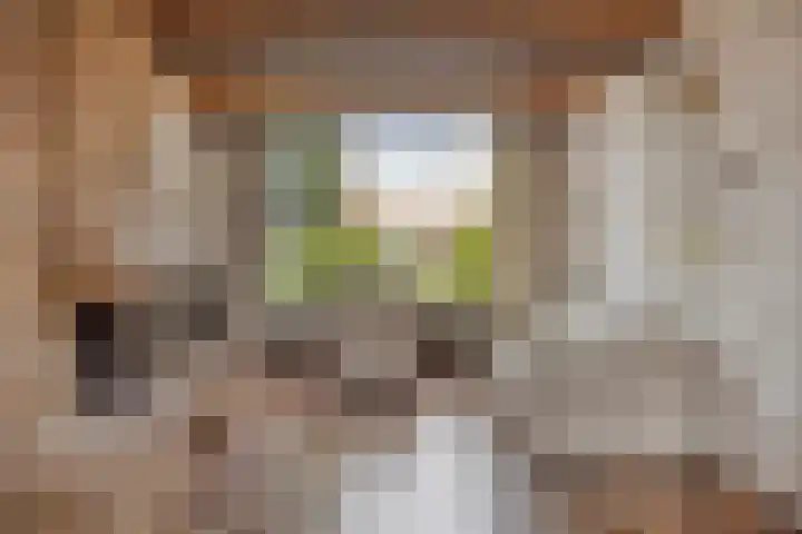 Petrus van Schendelstraat 21 Rosmalen thumbnail 5