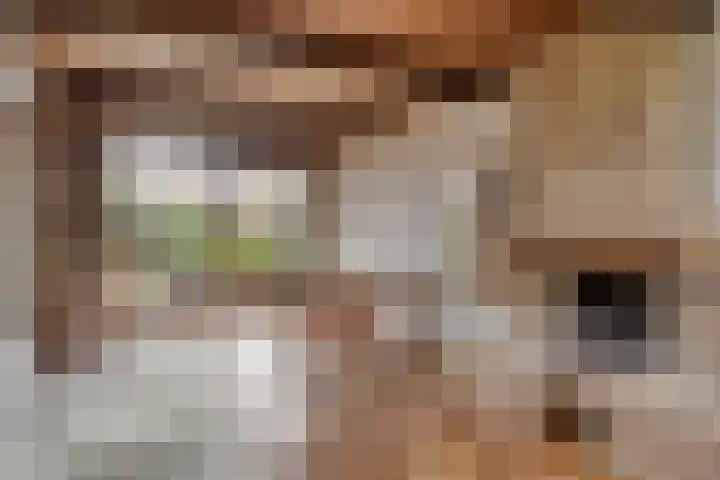 Petrus van Schendelstraat 21 Rosmalen thumbnail 6