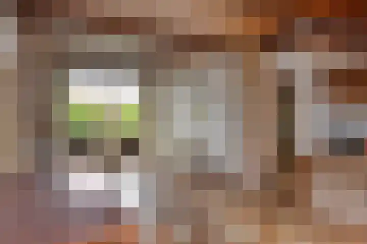 Petrus van Schendelstraat 21 Rosmalen thumbnail 7
