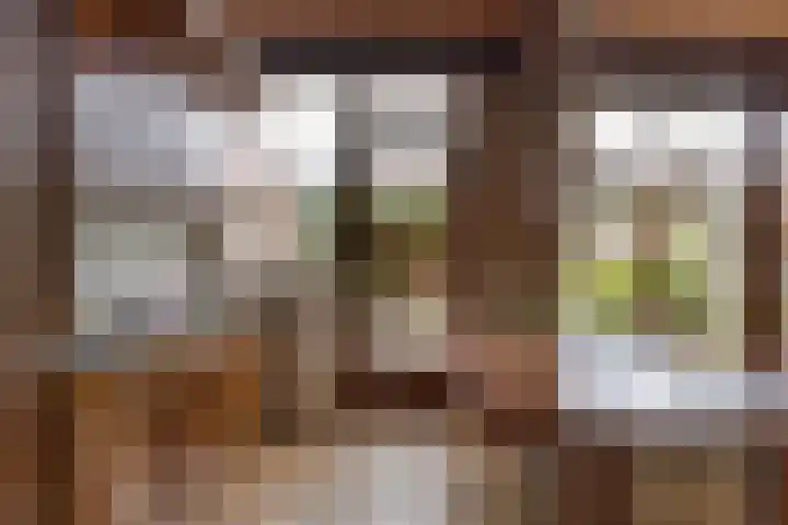 Petrus van Schendelstraat 21 Rosmalen thumbnail 9