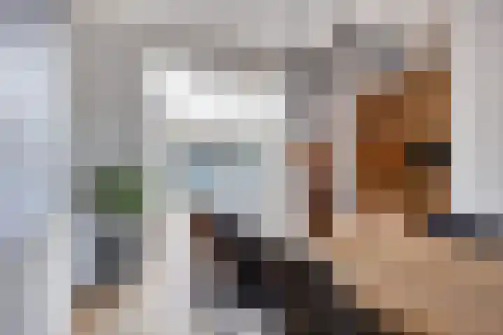 Petrus Vossenstraat 6 Helden thumbnail 13