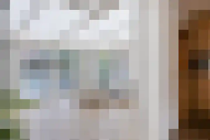 Petrus Vossenstraat 6 Helden thumbnail 17