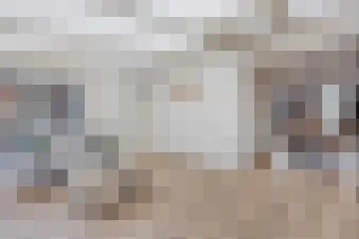 Petrus Vossenstraat 6 Helden thumbnail 18