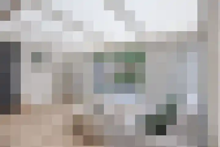 Petrus Vossenstraat 6 Helden thumbnail 20