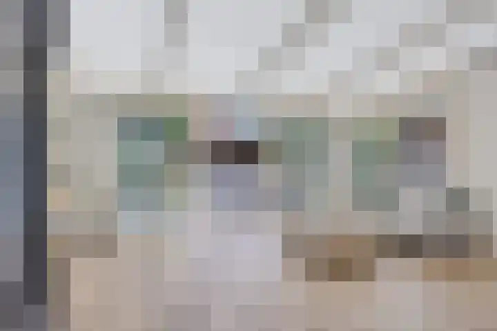 Petrus Vossenstraat 6 Helden thumbnail 21