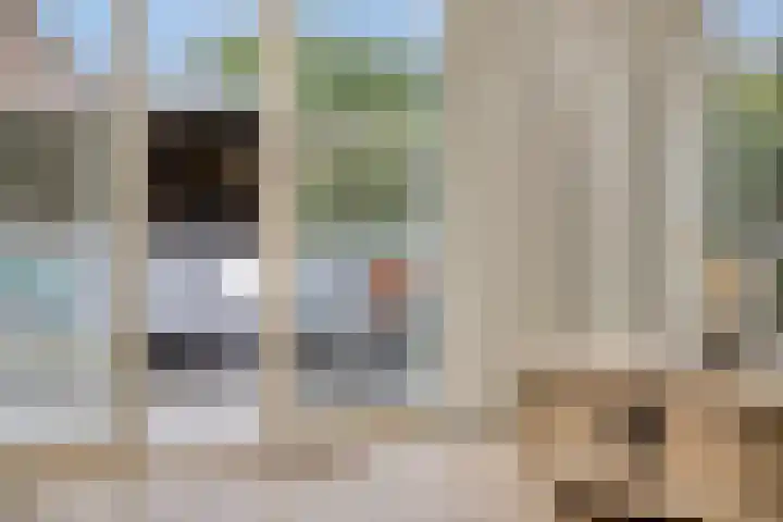 Petrus Vossenstraat 6 Helden thumbnail 22