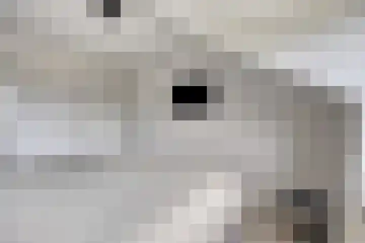 Petrus Vossenstraat 6 Helden thumbnail 27