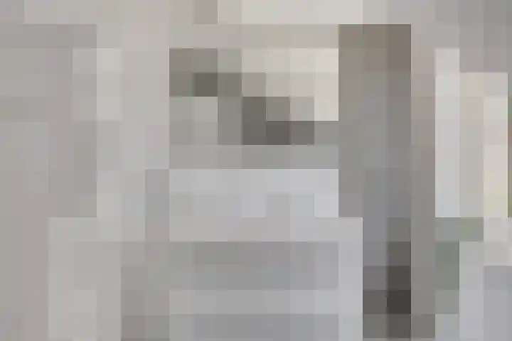 Petrus Vossenstraat 6 Helden thumbnail 31