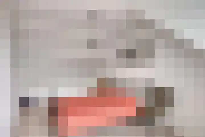Petrus Vossenstraat 6 Helden thumbnail 32