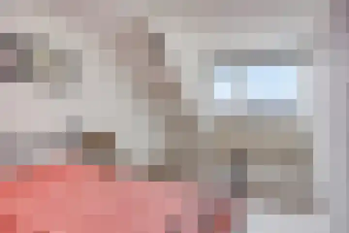 Petrus Vossenstraat 6 Helden thumbnail 33
