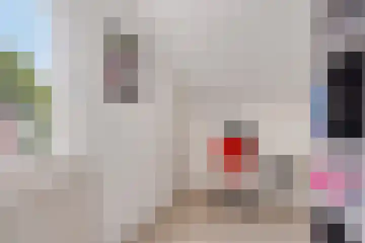 Petrus Vossenstraat 6 Helden thumbnail 34
