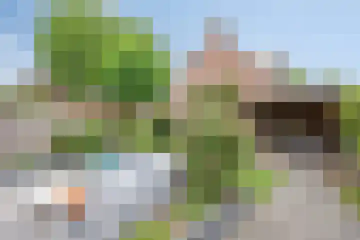 Petrus Vossenstraat 6 Helden thumbnail 36