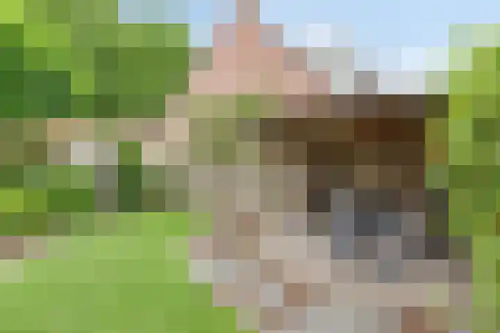 Petrus Vossenstraat 6 Helden thumbnail 41