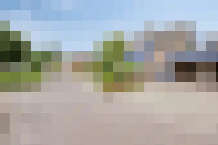 Petrus Vossenstraat 6 Helden thumbnail 43