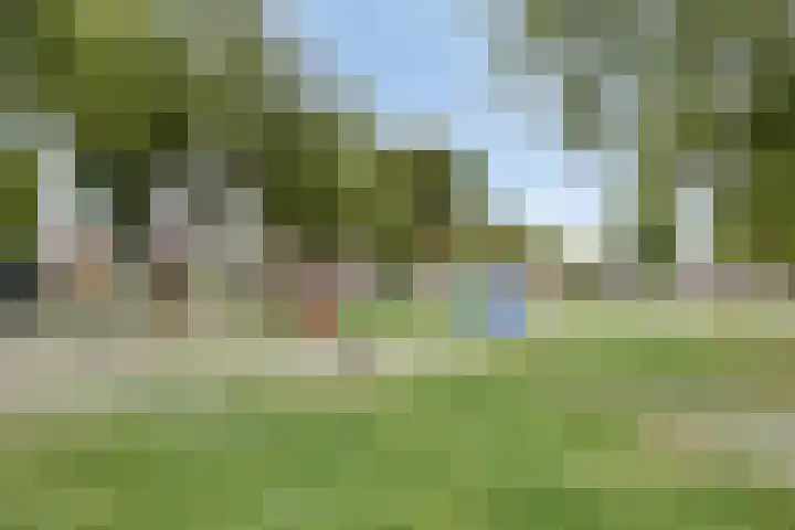 Petrus Vossenstraat 6 Helden thumbnail 46