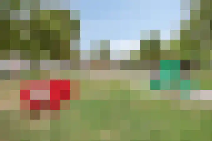 Petrus Vossenstraat 6 Helden thumbnail 47