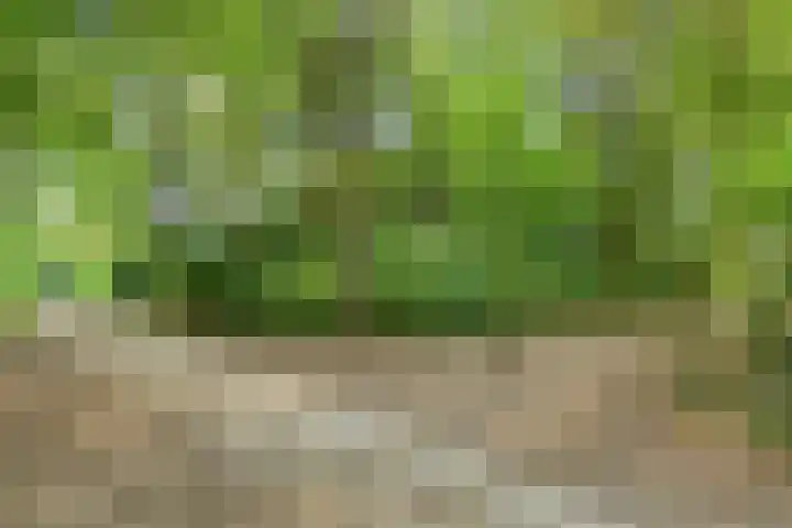 Petrus Vossenstraat 6 Helden thumbnail 48
