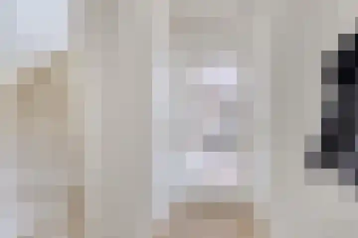 Petrus Vossenstraat 6 Helden thumbnail 6