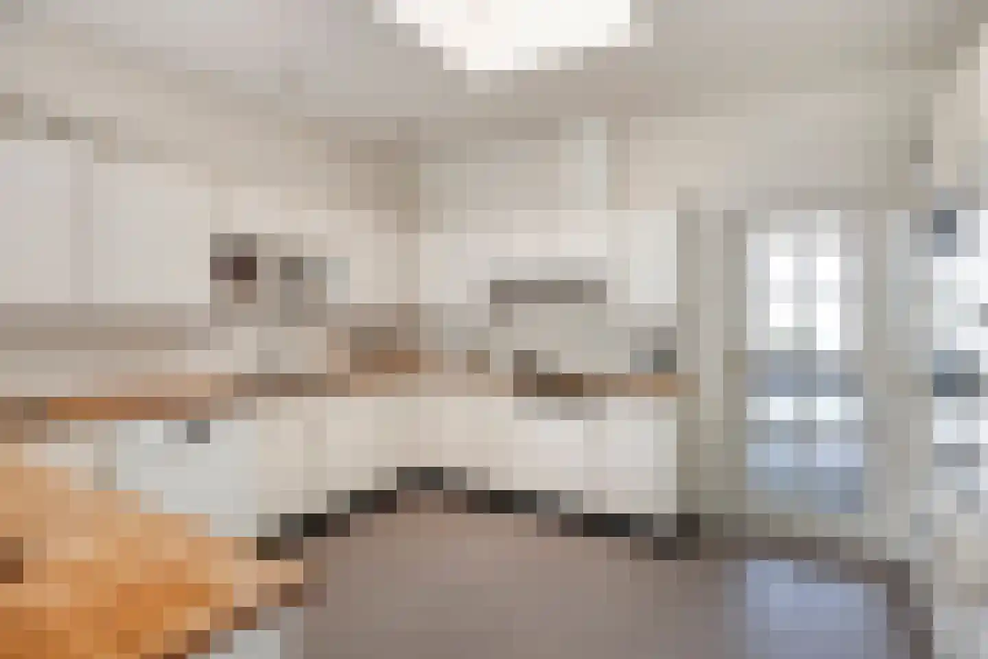 Petruslaan 20 Heilig Landstichting thumbnail 16
