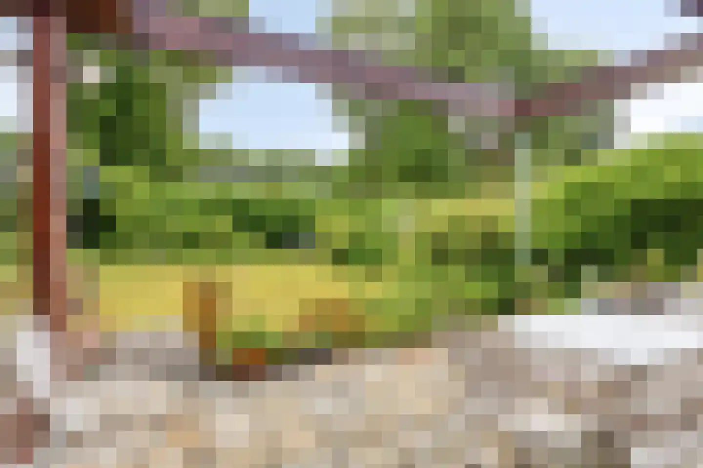 Petruslaan 20 Heilig Landstichting thumbnail 18