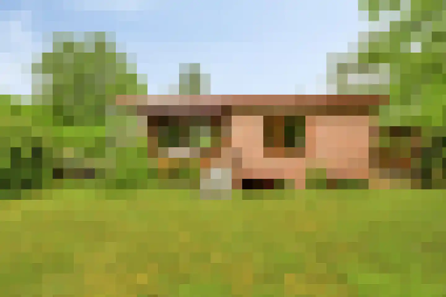 Petruslaan 20 Heilig Landstichting thumbnail 19