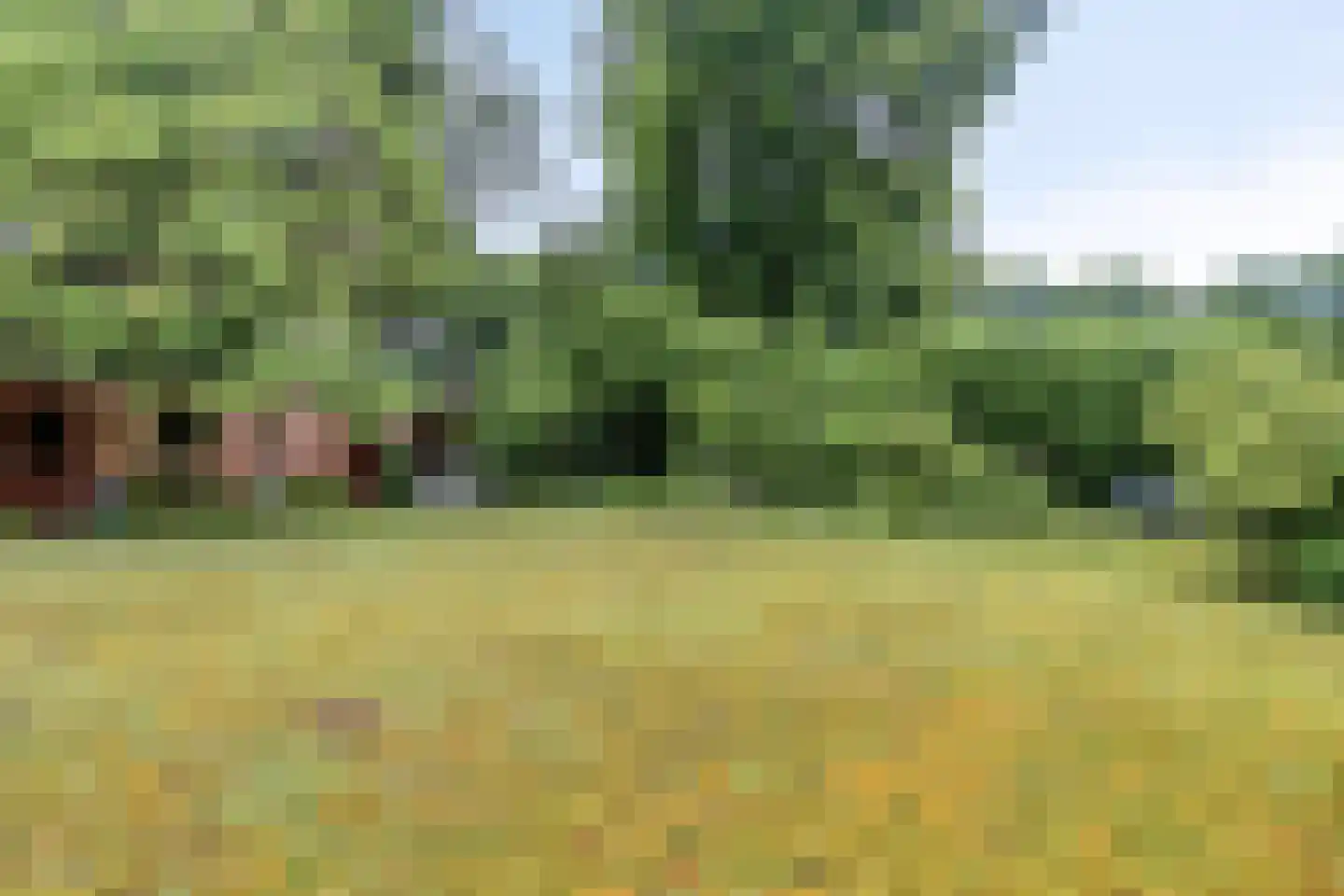 Petruslaan 20 Heilig Landstichting thumbnail 20