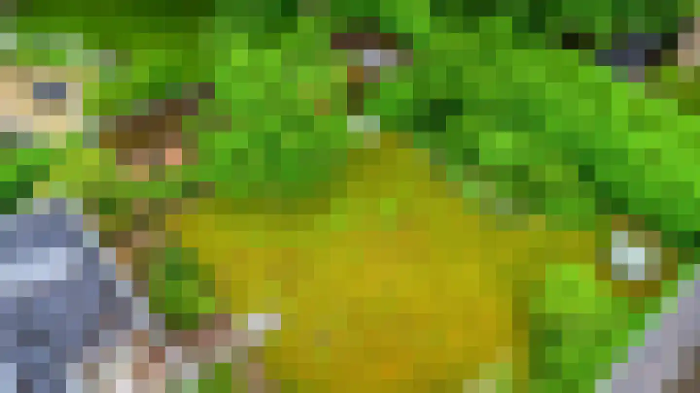 Petruslaan 20 Heilig Landstichting thumbnail 21