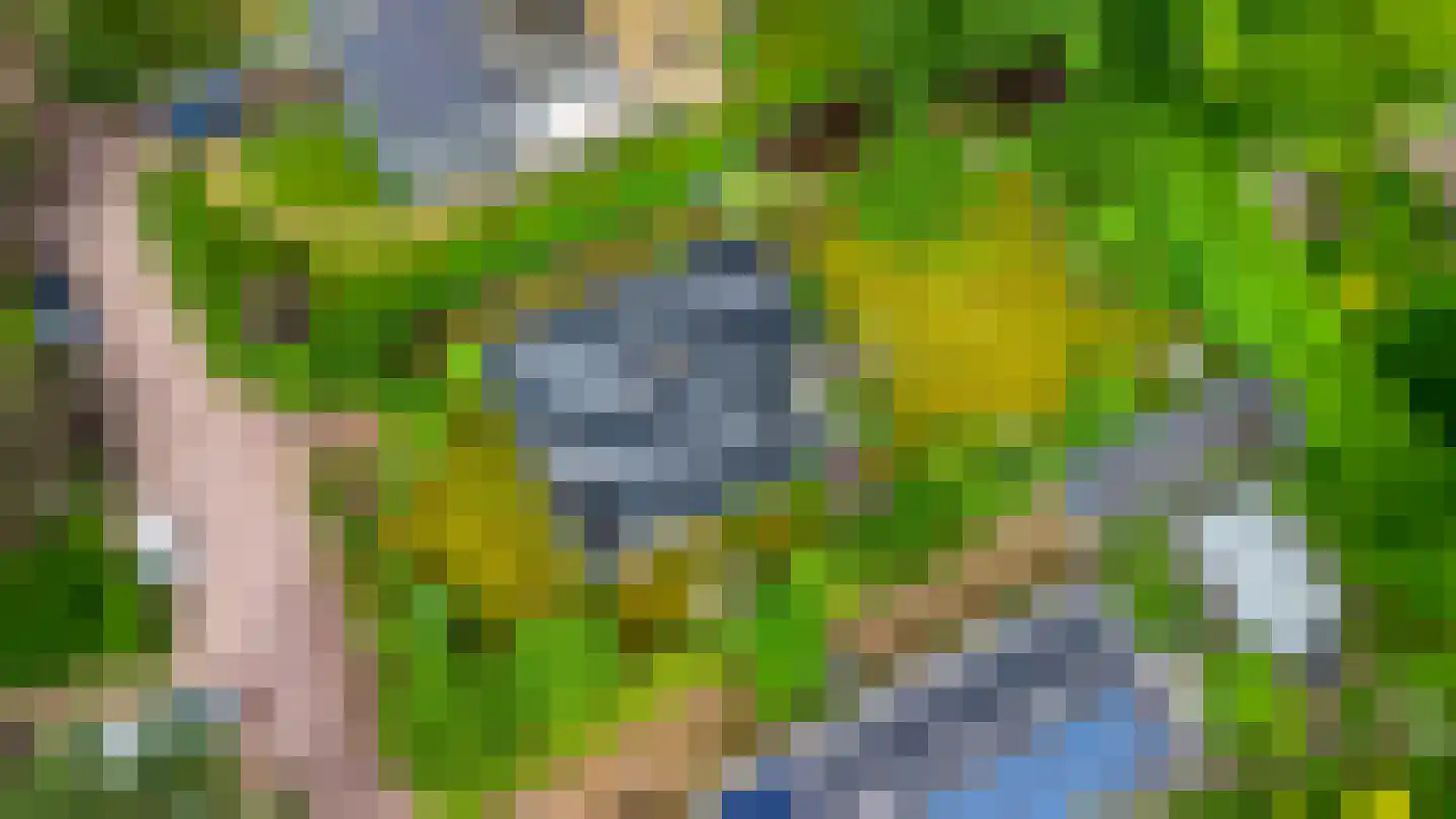 Petruslaan 20 Heilig Landstichting thumbnail 22