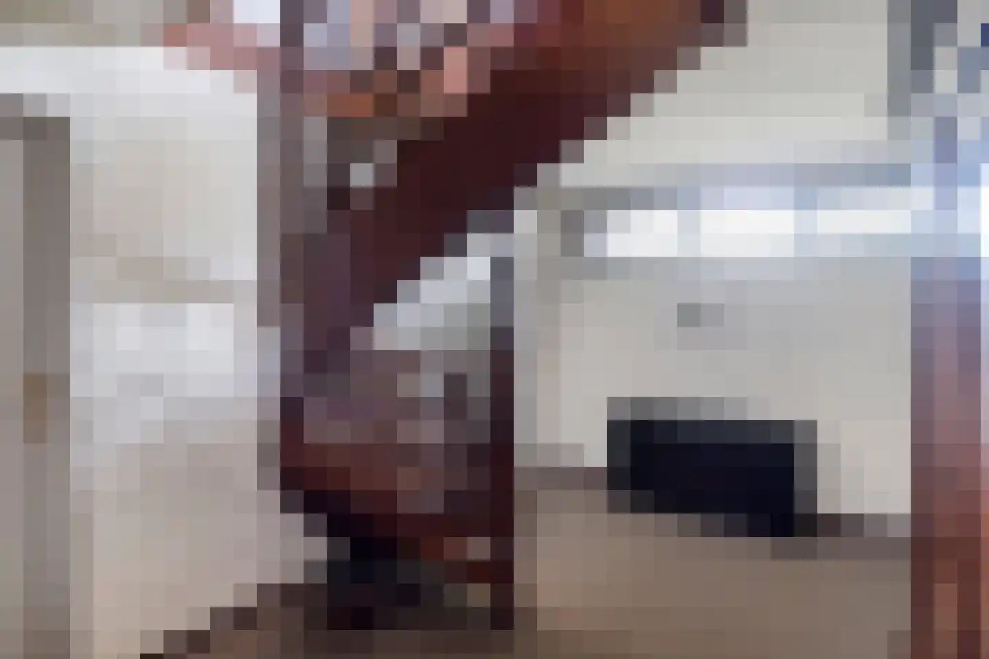 Petruslaan 20 Heilig Landstichting thumbnail 23