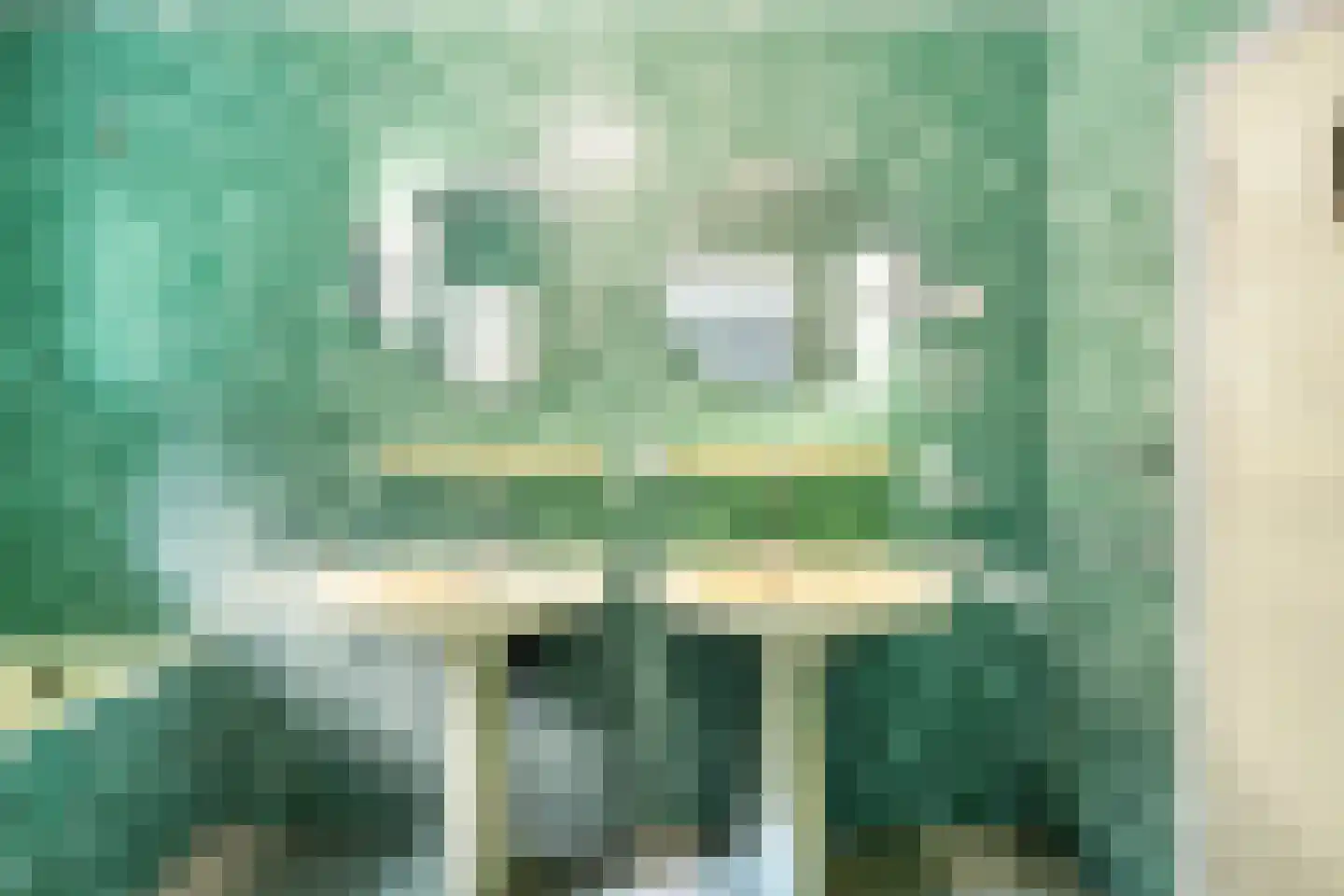 Petruslaan 20 Heilig Landstichting thumbnail 32