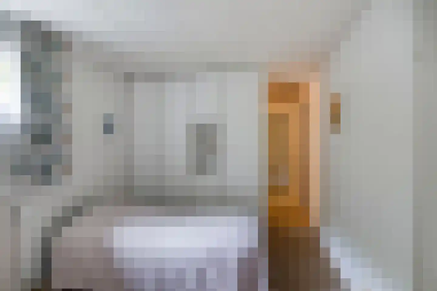 Petruslaan 20 Heilig Landstichting thumbnail 39