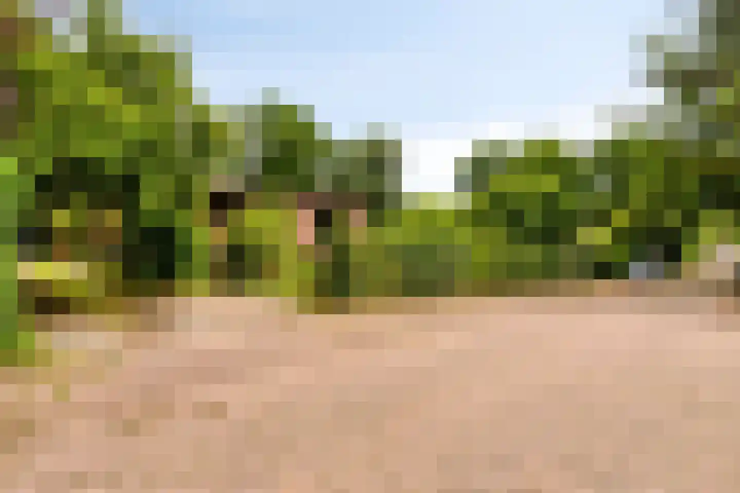 Petruslaan 20 Heilig Landstichting thumbnail 4