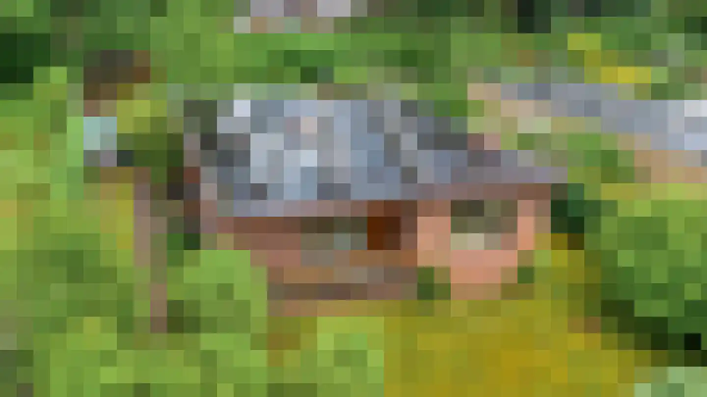 Petruslaan 20 Heilig Landstichting thumbnail 42