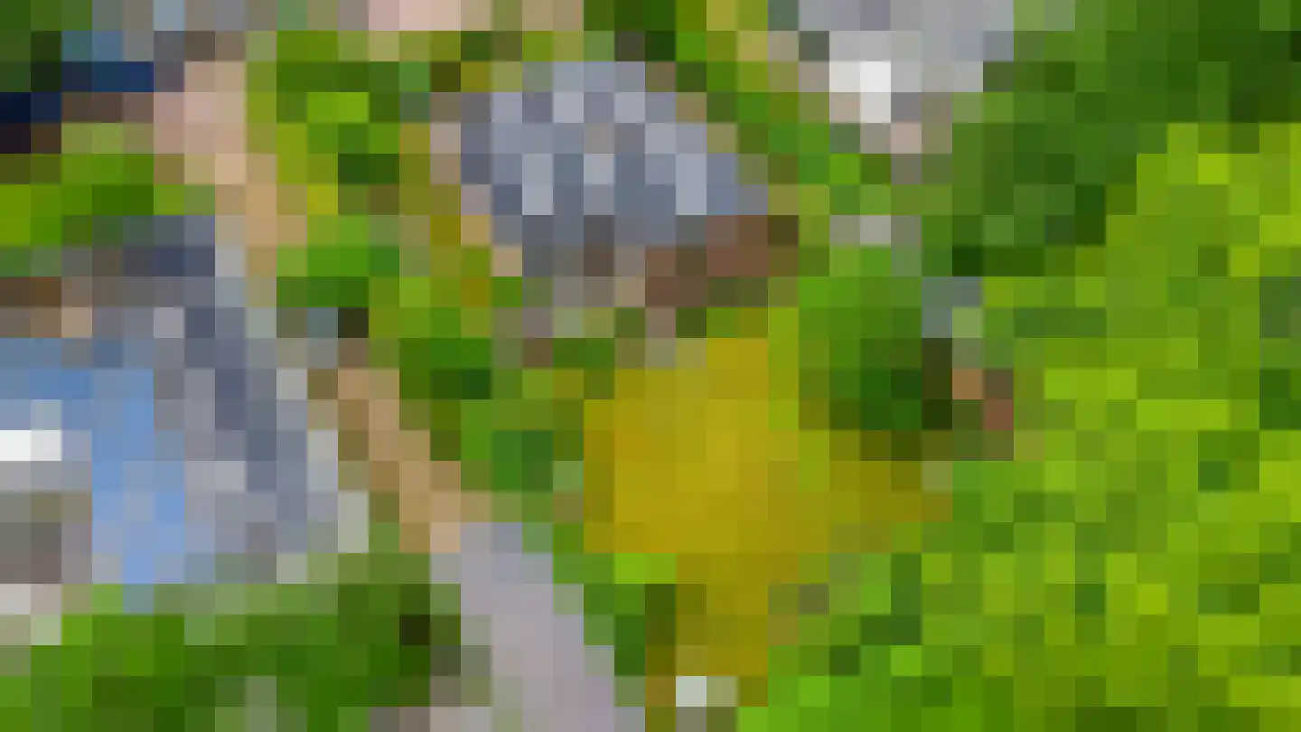 Petruslaan 20 Heilig Landstichting thumbnail 43