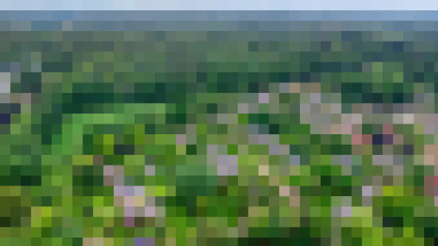 Petruslaan 20 Heilig Landstichting thumbnail 44