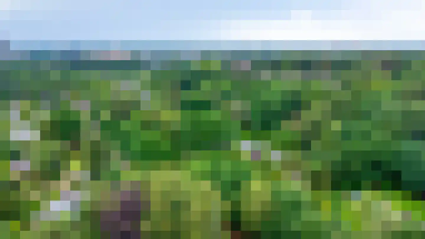 Petruslaan 20 Heilig Landstichting thumbnail 45
