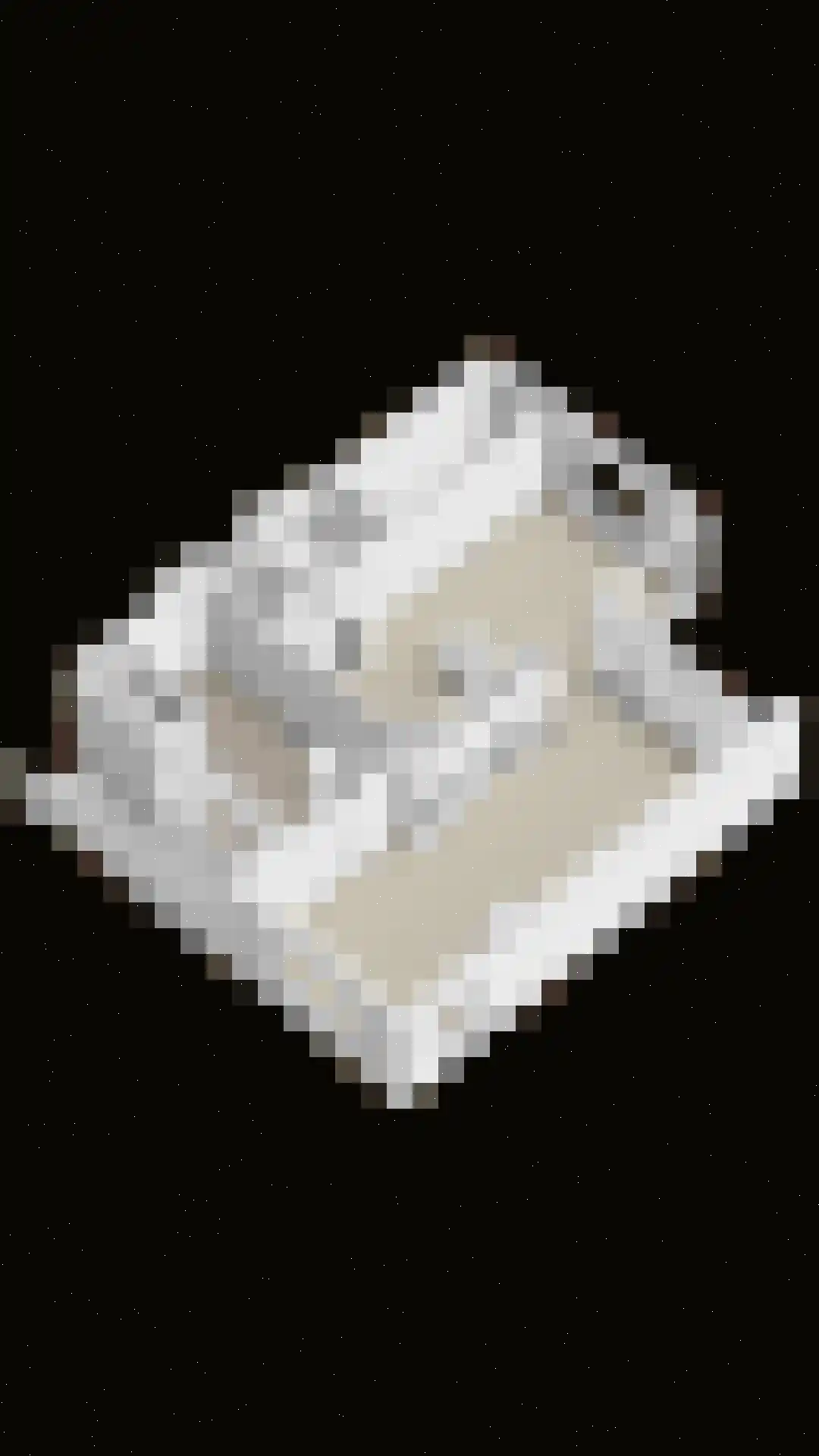 Petruslaan 20 Heilig Landstichting thumbnail 47