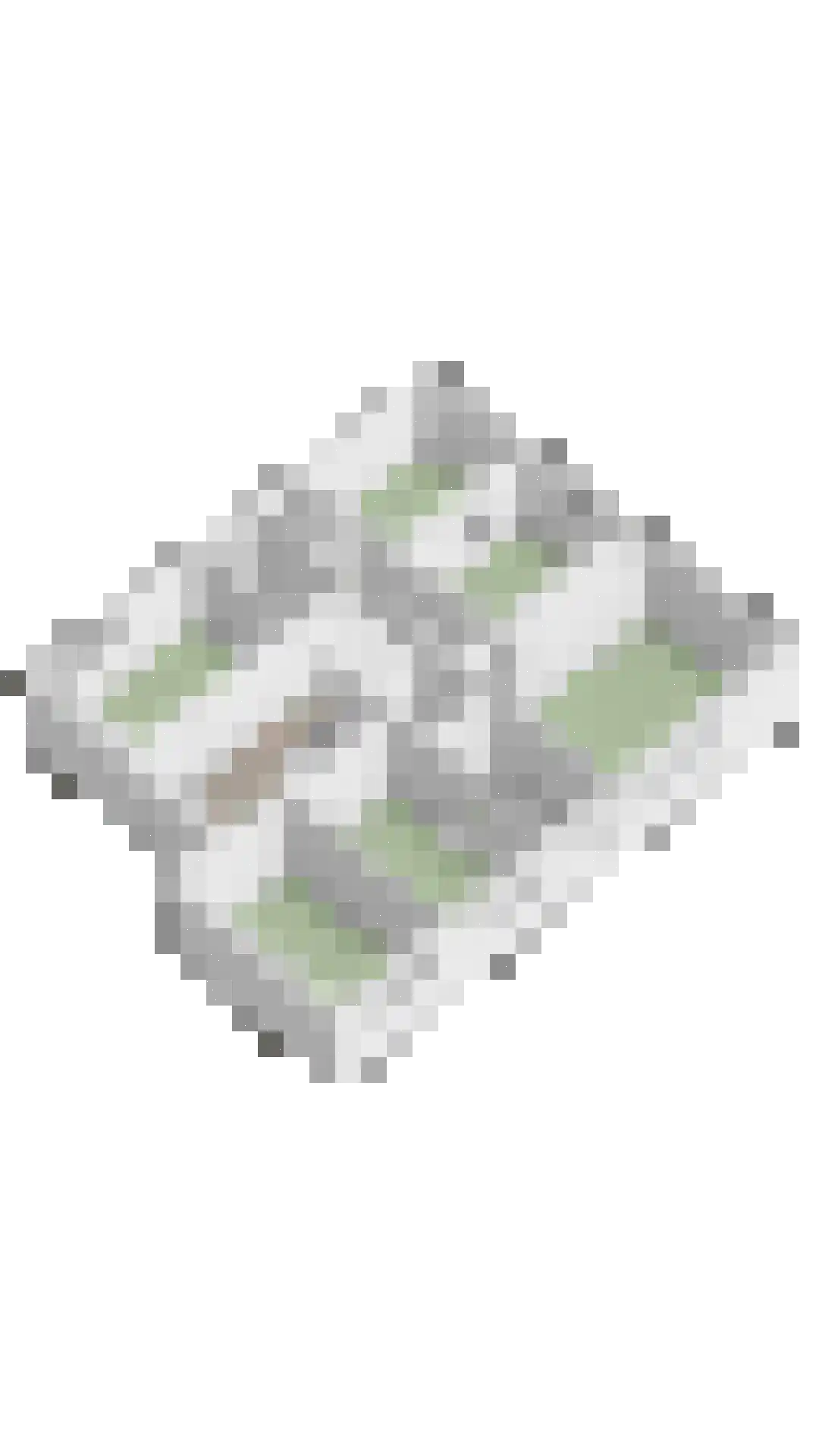 Petruslaan 20 Heilig Landstichting thumbnail 49