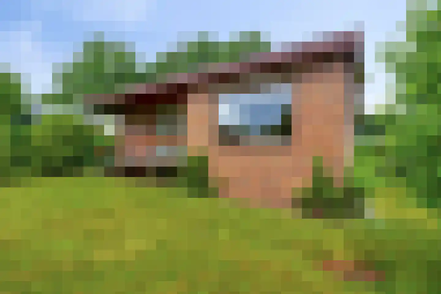 Petruslaan 20 Heilig Landstichting thumbnail 6