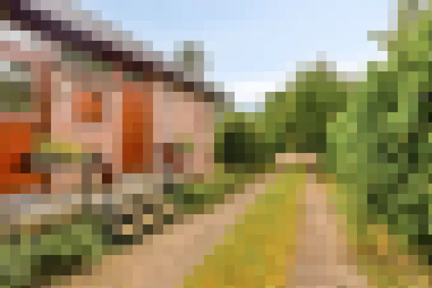 Petruslaan 20 Heilig Landstichting thumbnail 7
