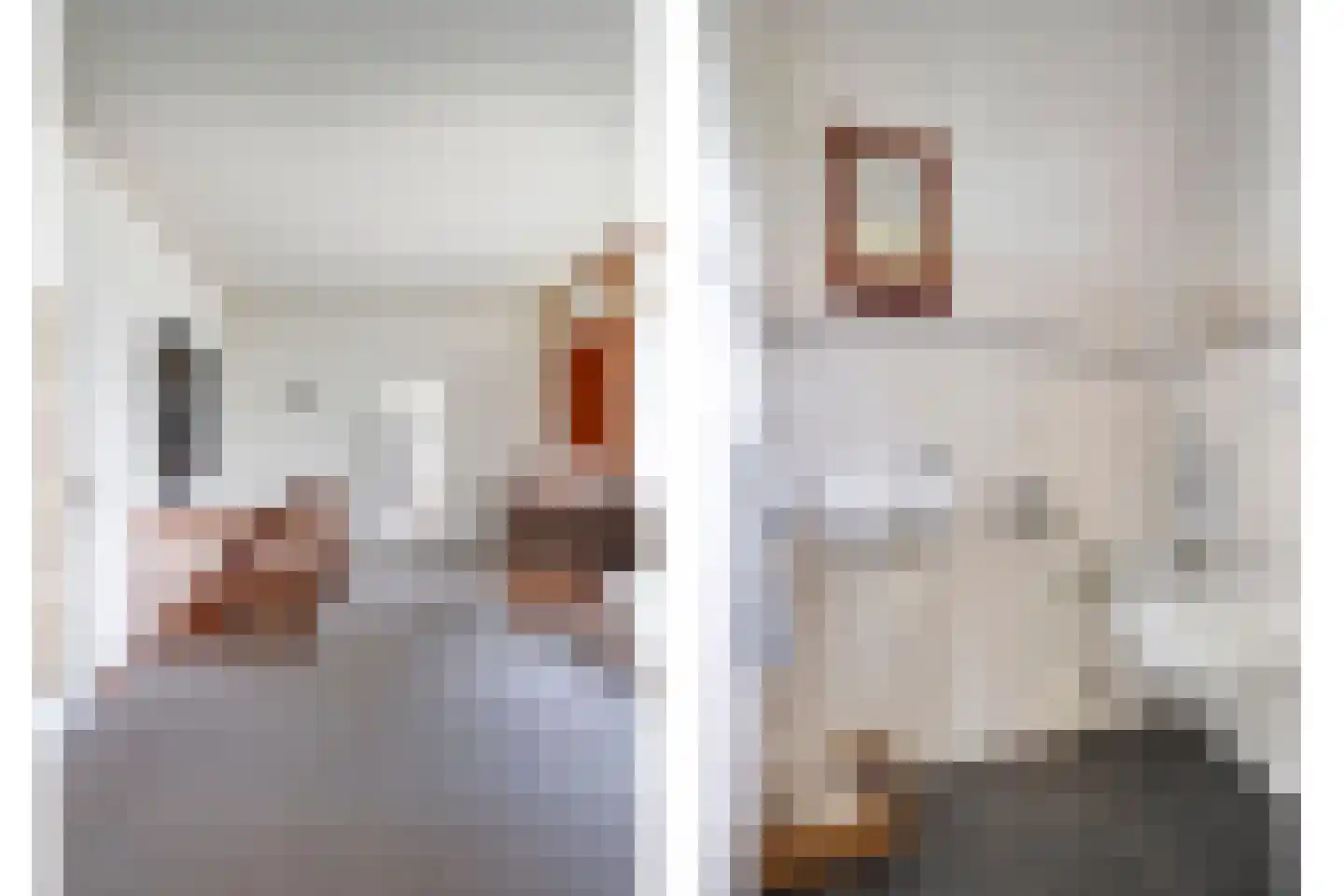 Petruslaan 20 Heilig Landstichting thumbnail 8