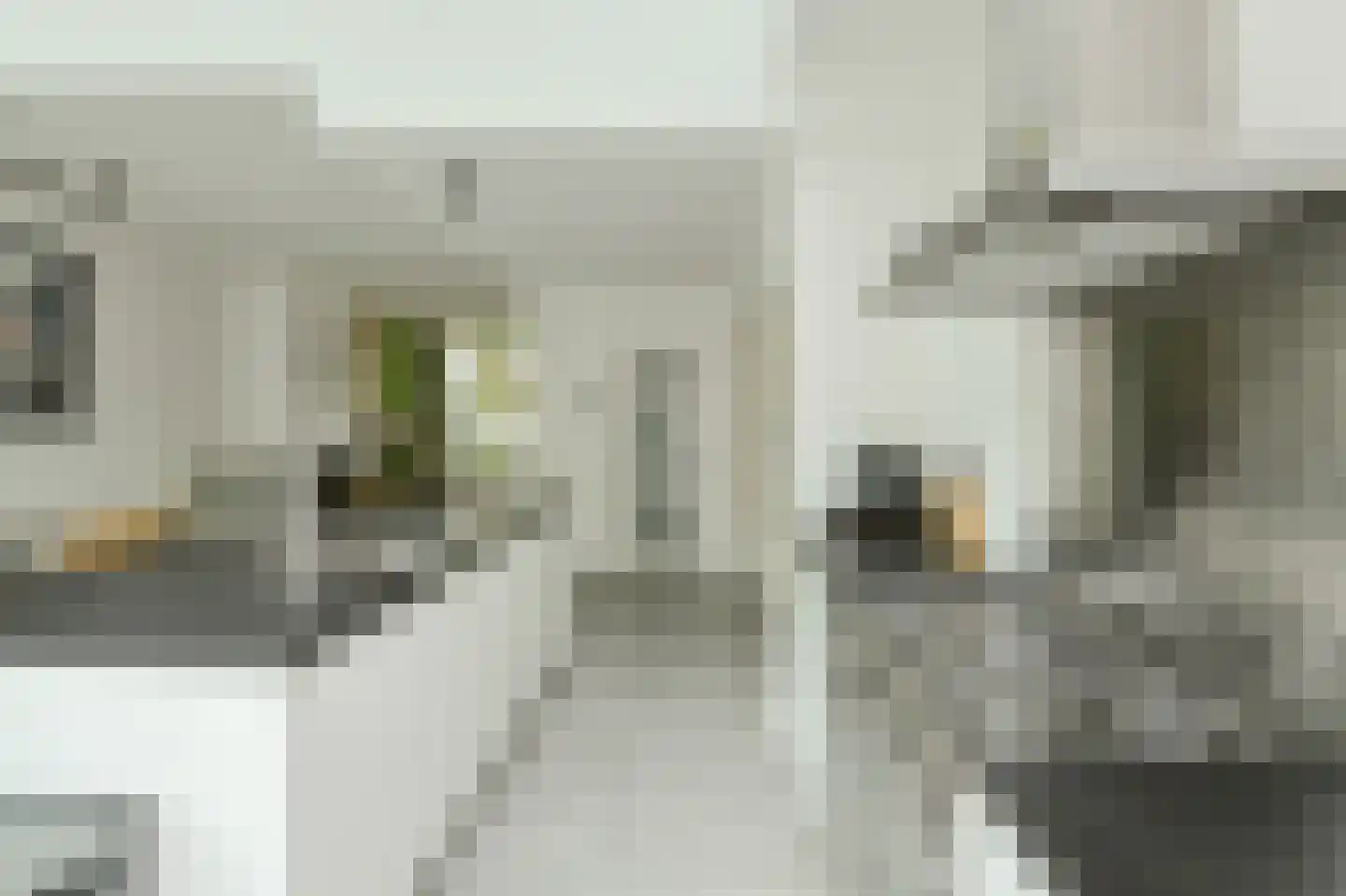 Petrusstraat 18 Breda thumbnail 14