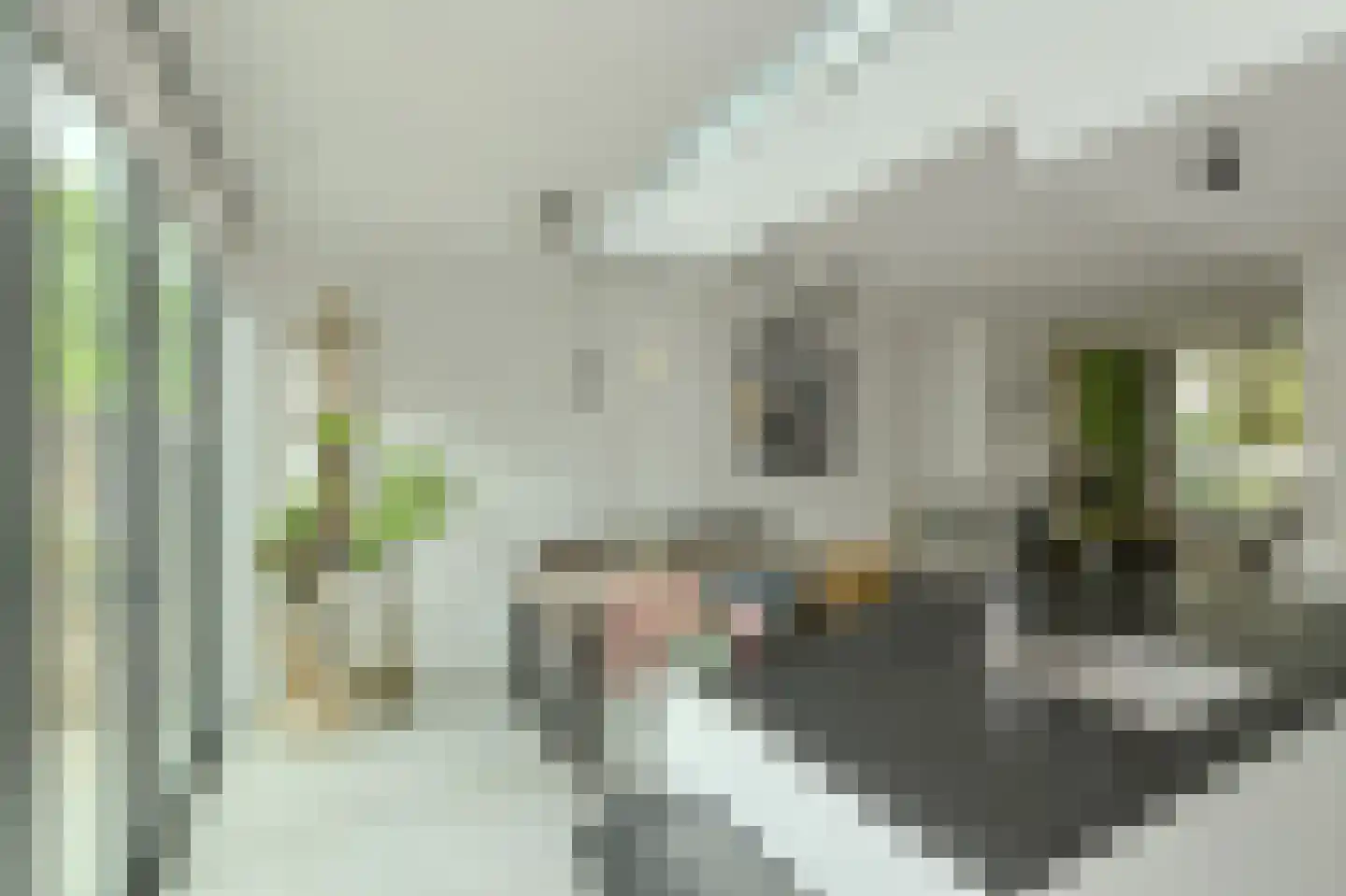 Petrusstraat 18 Breda thumbnail 15