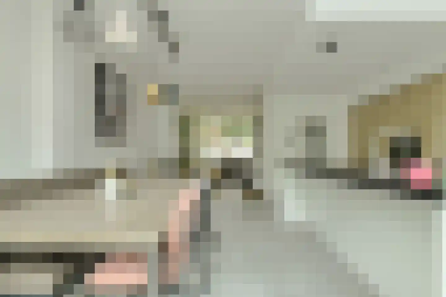 Petrusstraat 18 Breda thumbnail 17