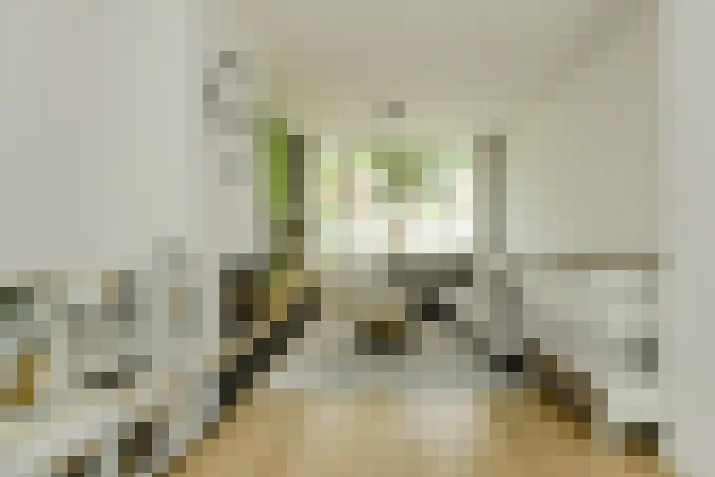 Petrusstraat 18 Breda thumbnail 19