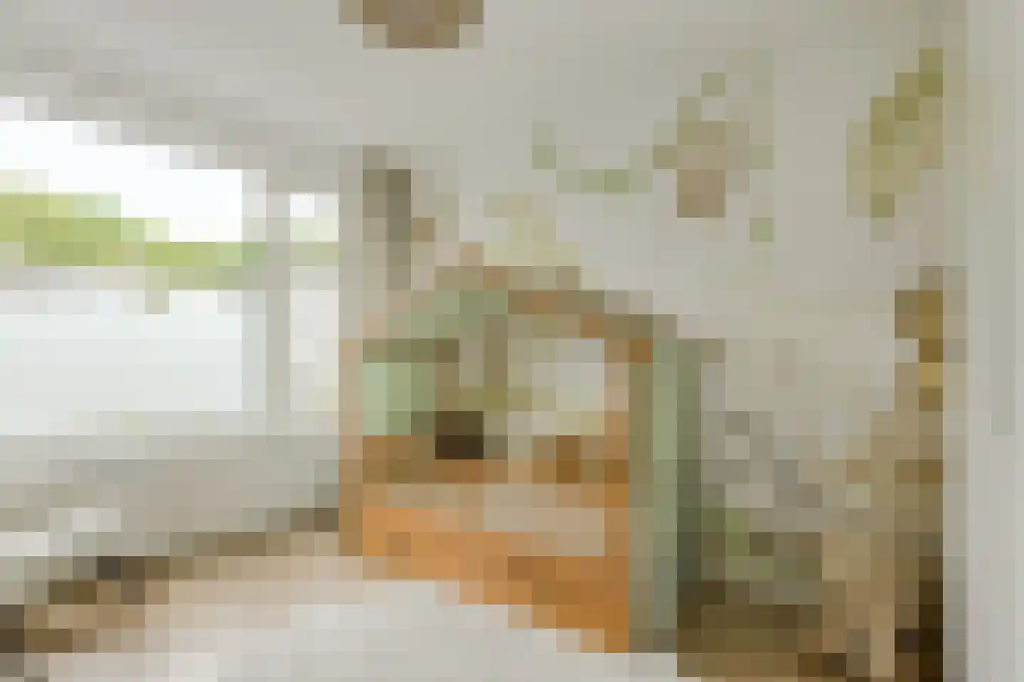 Petrusstraat 18 Breda thumbnail 32