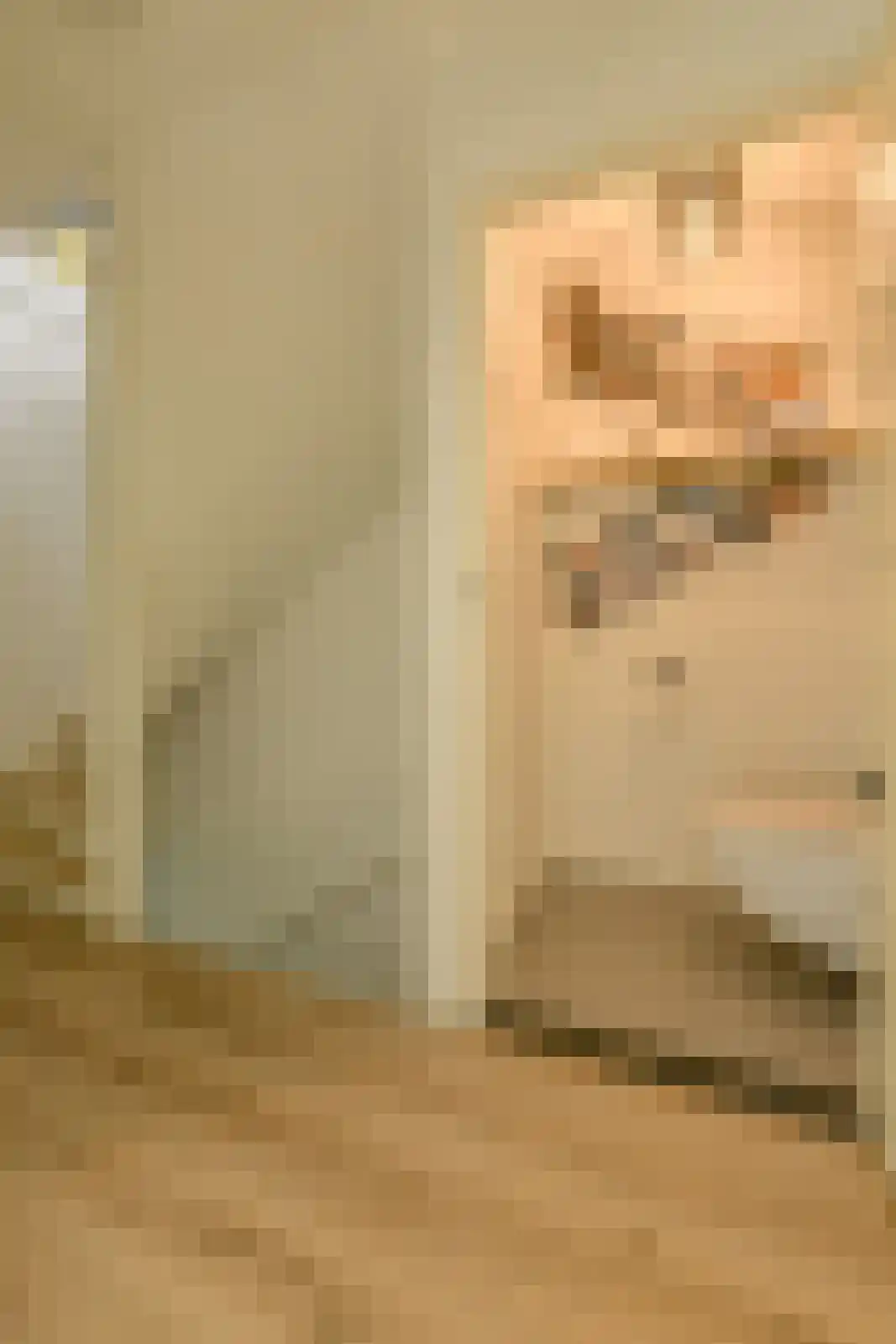 Petrusstraat 18 Breda thumbnail 35