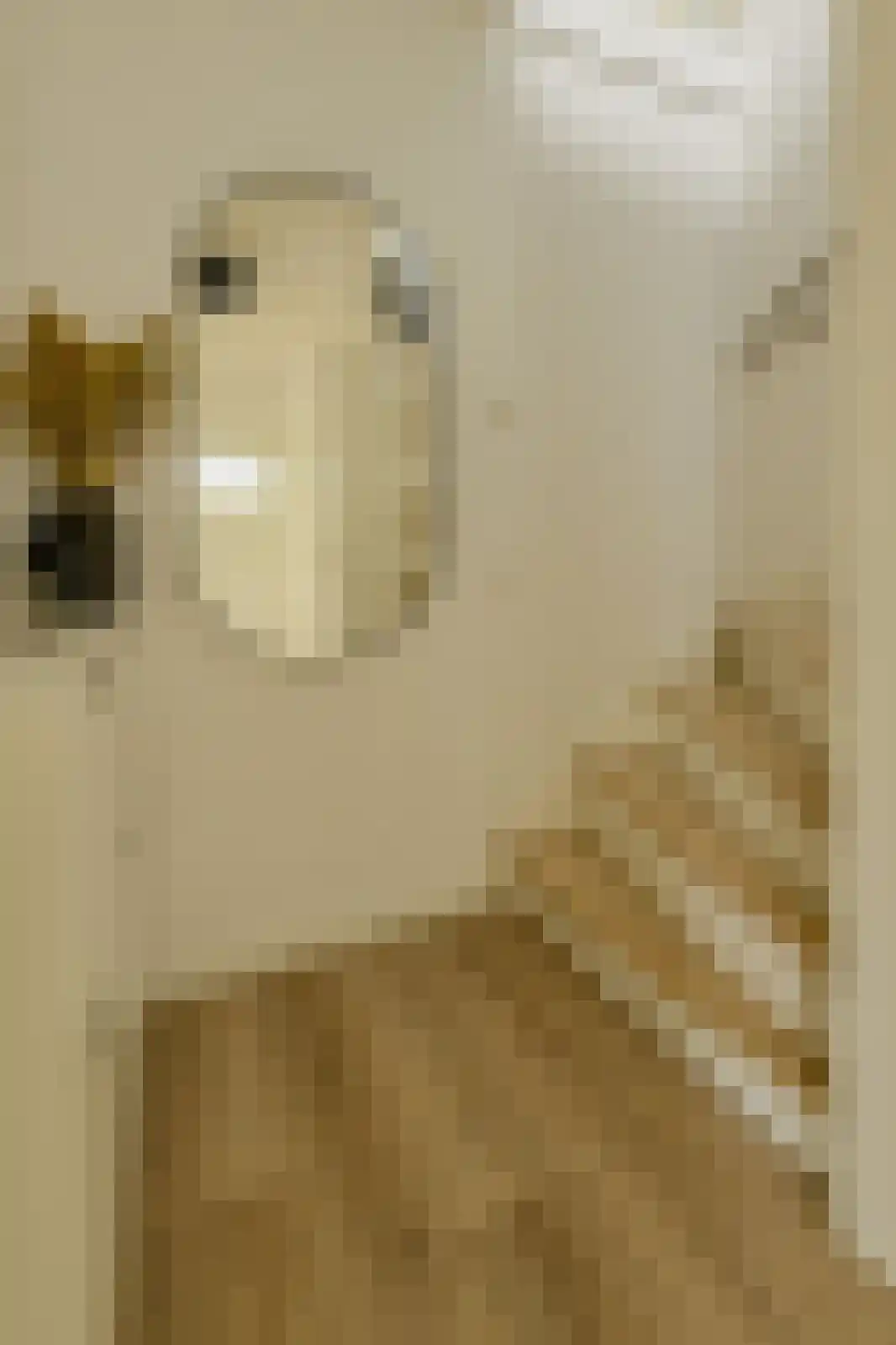 Petrusstraat 18 Breda thumbnail 36