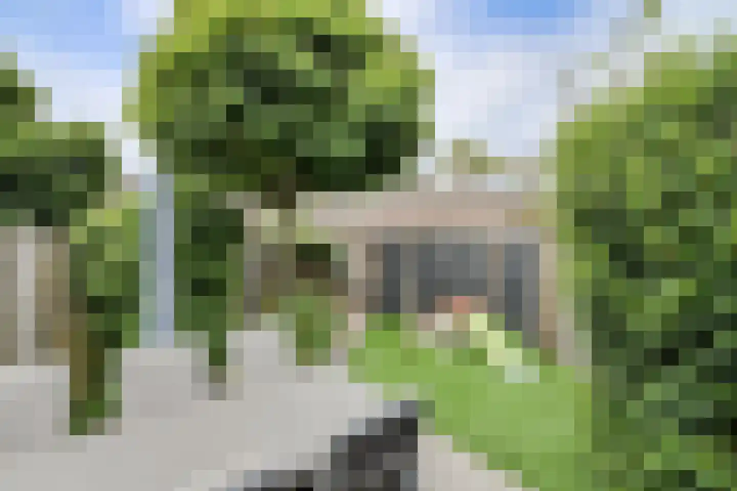 Petrusstraat 18 Breda thumbnail 42