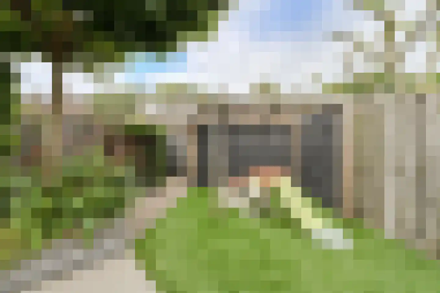 Petrusstraat 18 Breda thumbnail 43